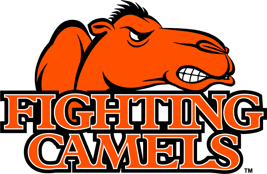 Campbell Fighting Camels 2005-2008 Alternate Logo diy iron on heat transfer